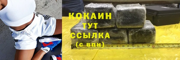 метадон Богданович