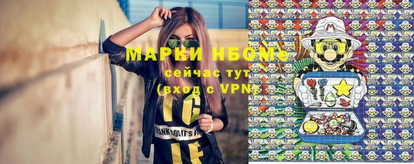 метадон Богданович