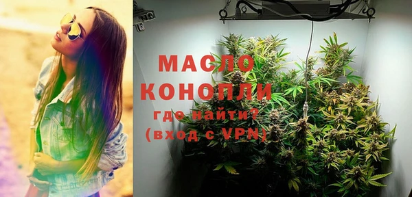 дмт Болотное