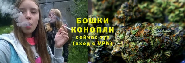 прущая мука Богородск